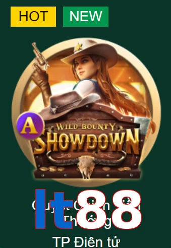 lt88